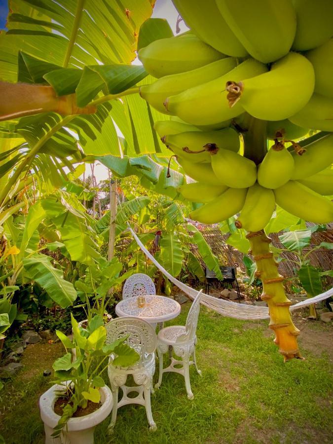 Casa Luz - Fernando De Noronha Hotell Eksteriør bilde