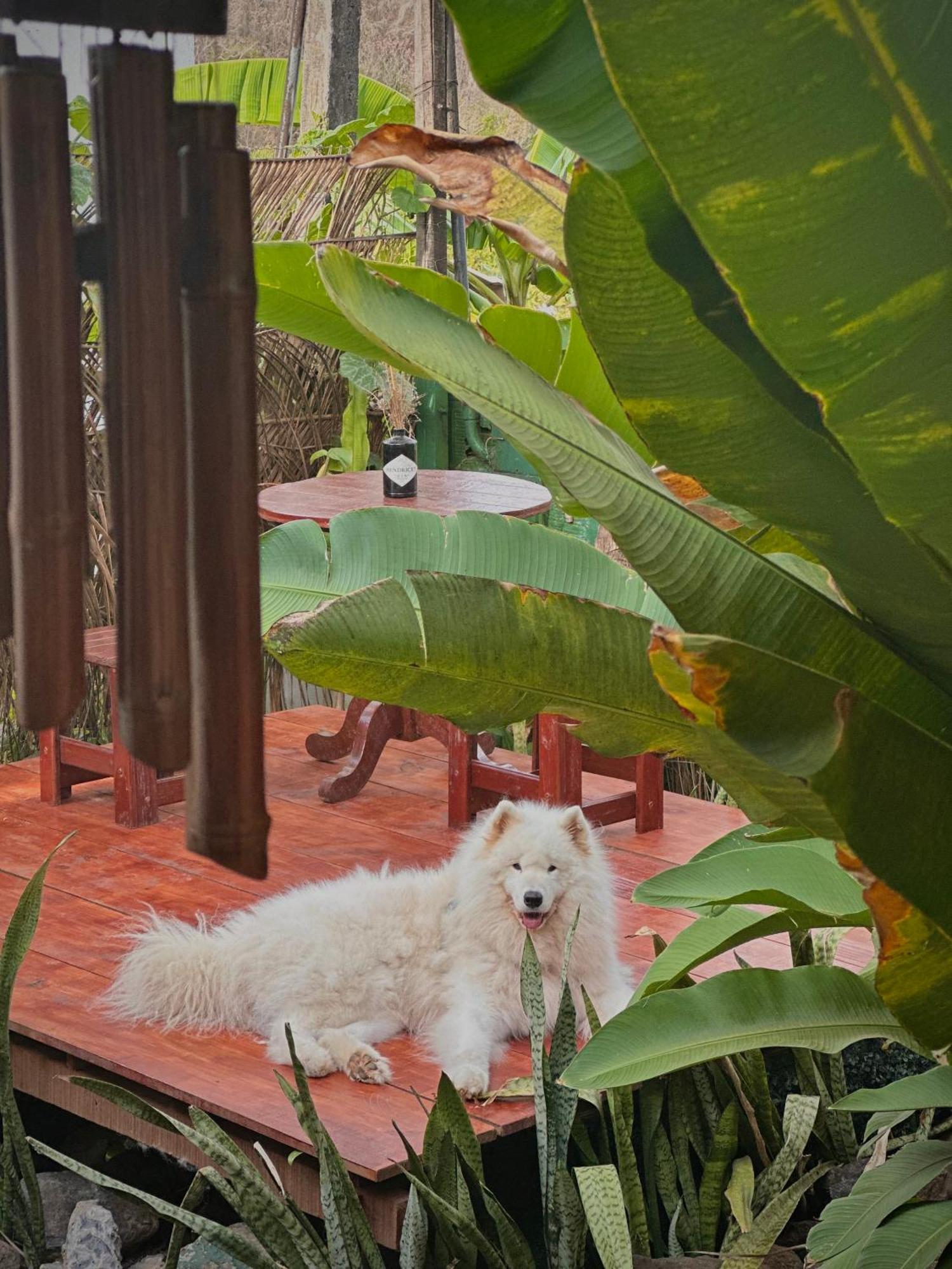 Casa Luz - Fernando De Noronha Hotell Eksteriør bilde
